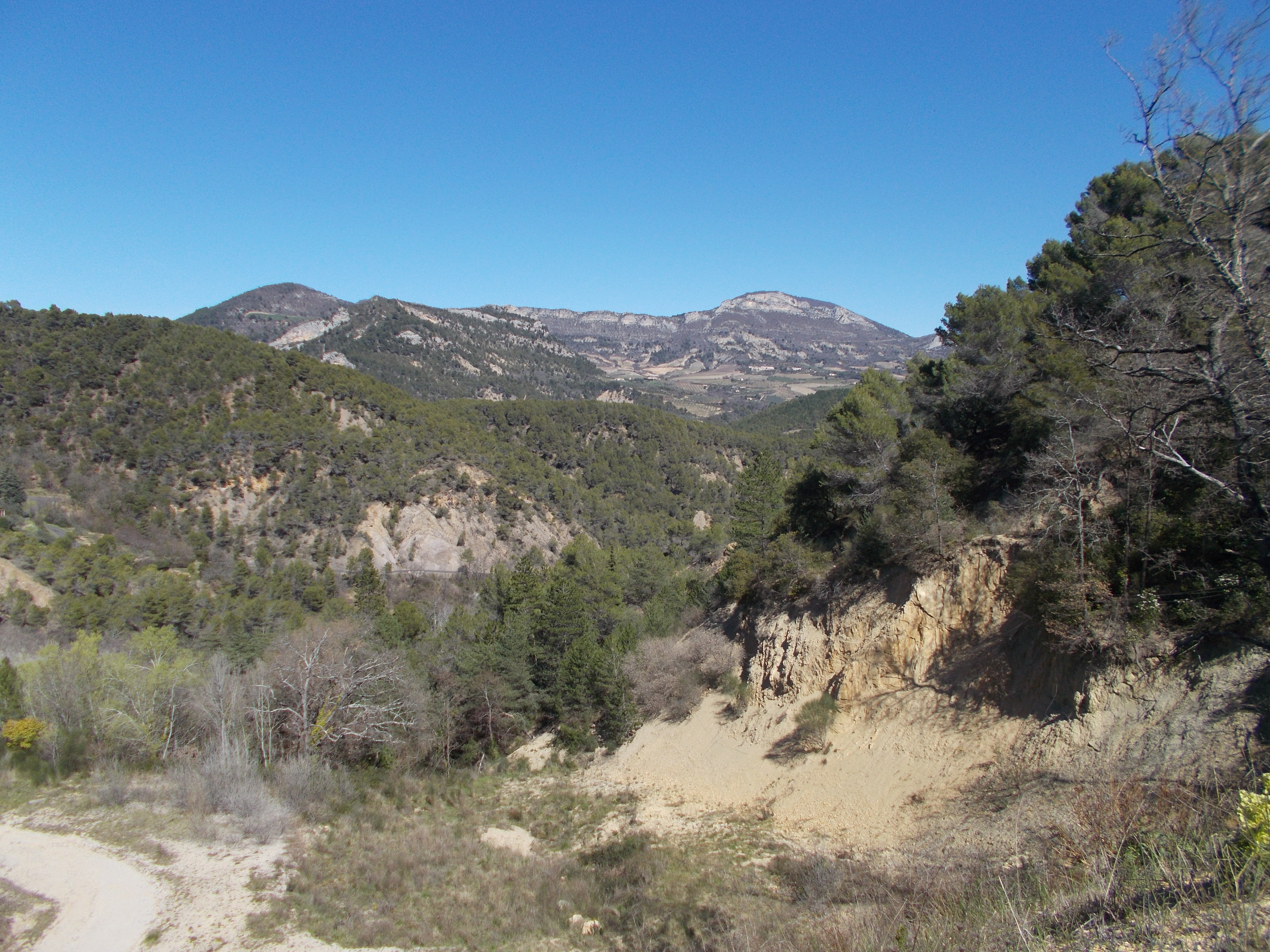 DSCN0315.JPG