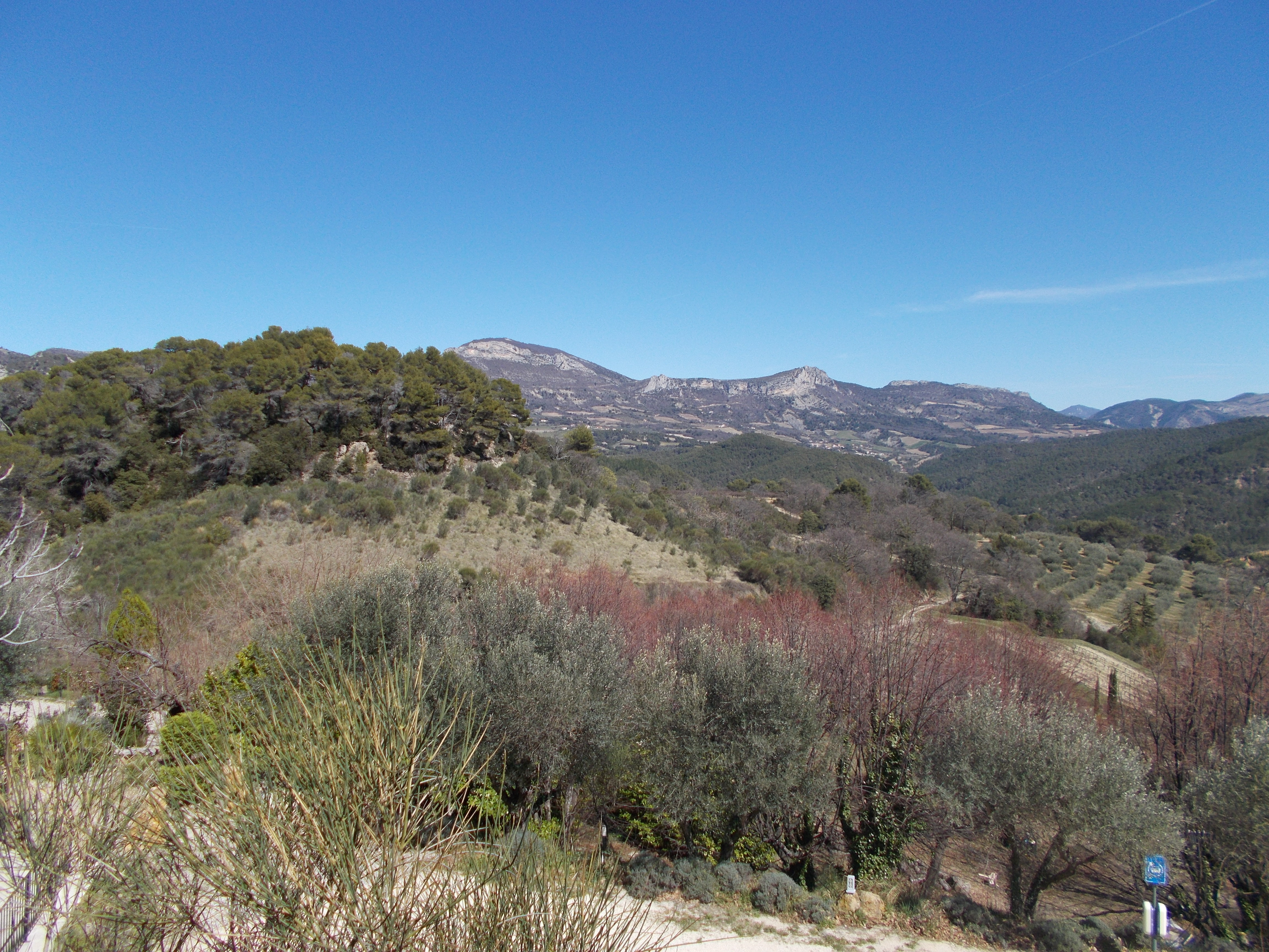DSCN0316.JPG
