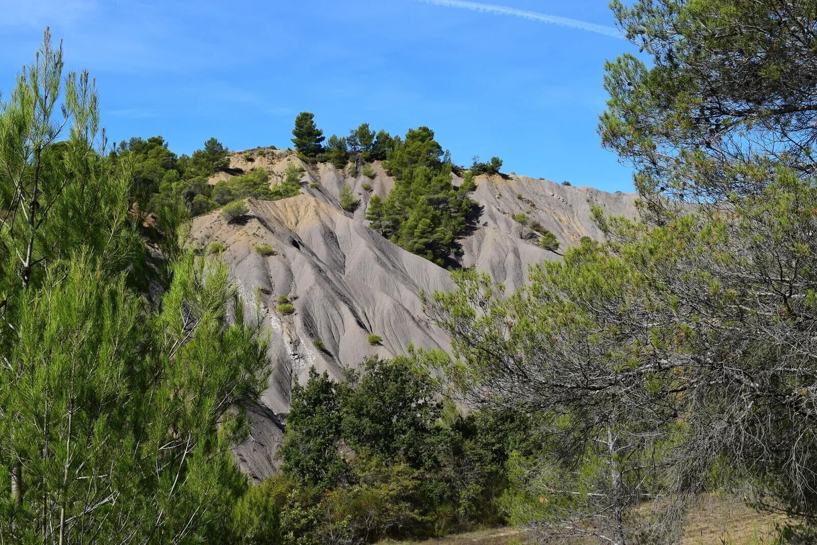 LES MARNES COTE COL