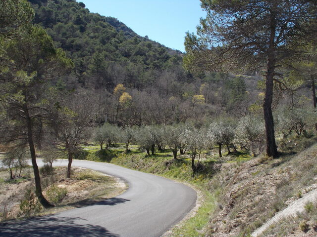 DSCN0307.JPG