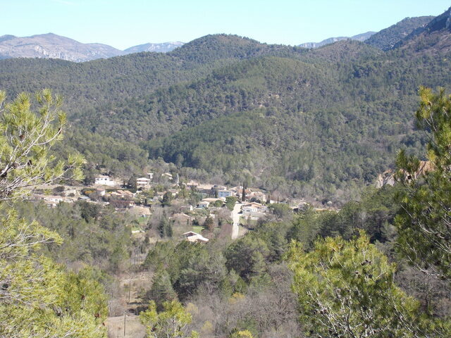 DSCN0312.JPG