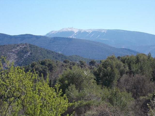 DSCN0320.JPG