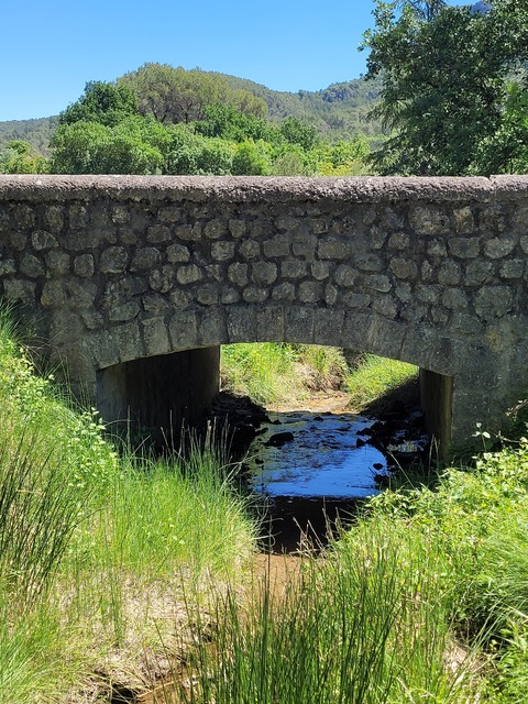 pont