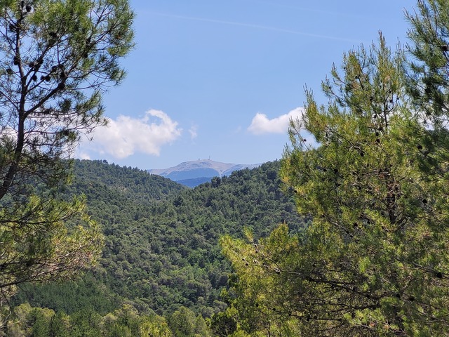 Vue du Ventoux